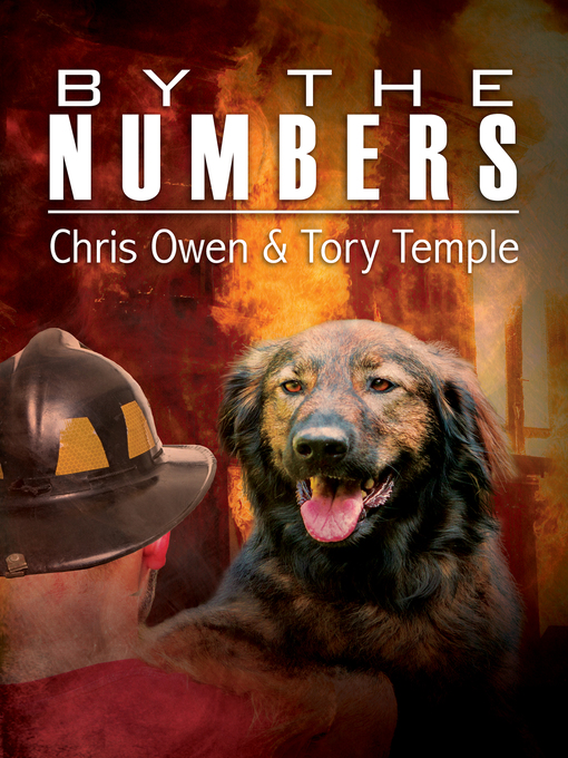 Title details for By the Numbers by Chris Owen - Available